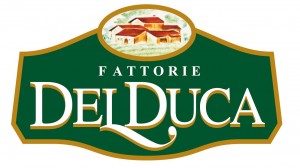 LogoFDD